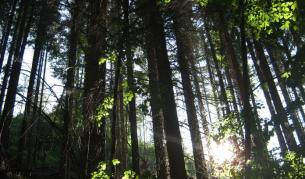 Изграждат десет веломаршрута на Витоша