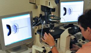 Първата жена в света с присадена матка е бременна