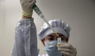 5 страни налагат ограничения заради птичи грип в Германия