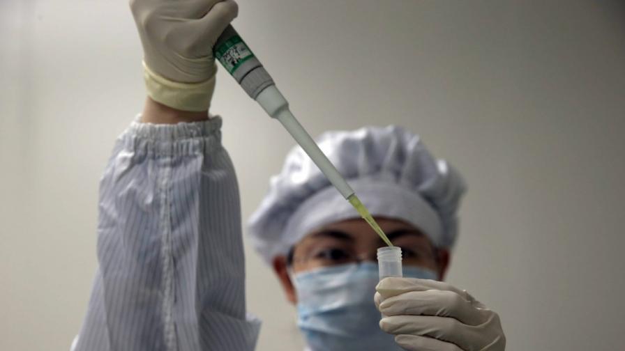 5 страни налагат ограничения заради птичи грип в Германия