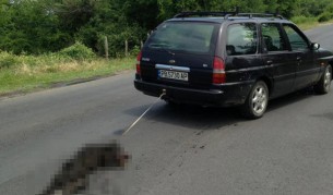 Арестуваха собственика на влаченото куче от с. Тополово