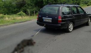 Повдигнаха обвинения на мъжа, влачил куче с колата си