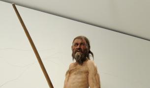 Леденият човек Йоци разкри поредната си тайна