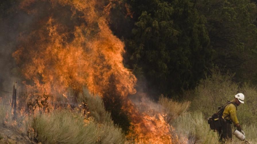При потушаване на пожар в Аризона загинаха 25 огнеборци 