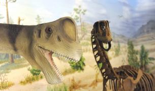 Откриха непознат вид гигантски динозавър