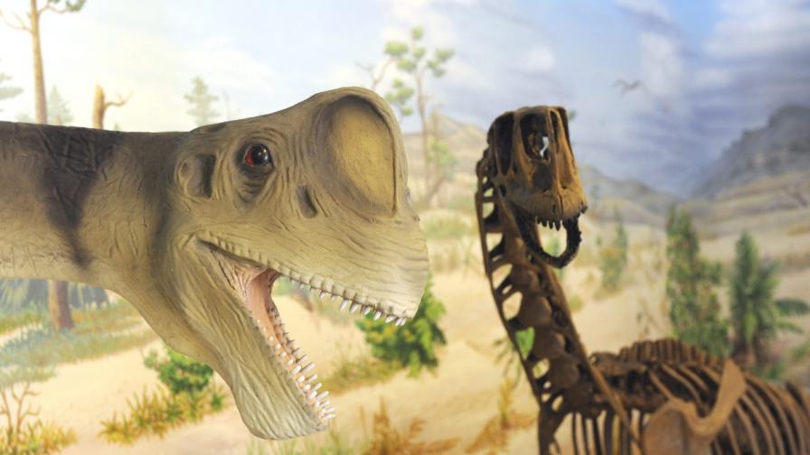 Откриха непознат вид гигантски динозавър