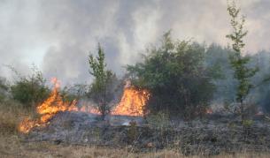 Пожар край Симитли унищожи 100 дка лозя, треви и храсти