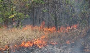 Големият пожар край Казанлък е потушен