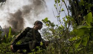 Перу - световен лидер по производство на кока