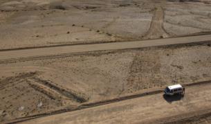 Растения убиват пустиня в Канада