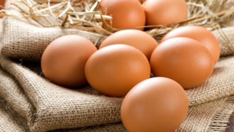 рак на гърдата яйца превенция белтъчини холин меню животински продукт