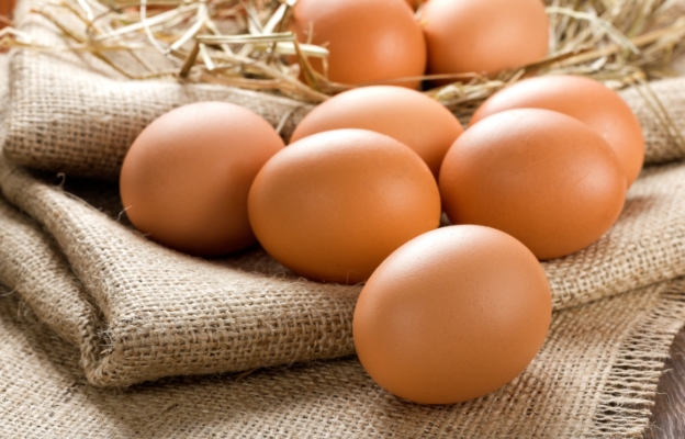 Птичите яйца са били основна част от препитанието на човечеството още от Древността