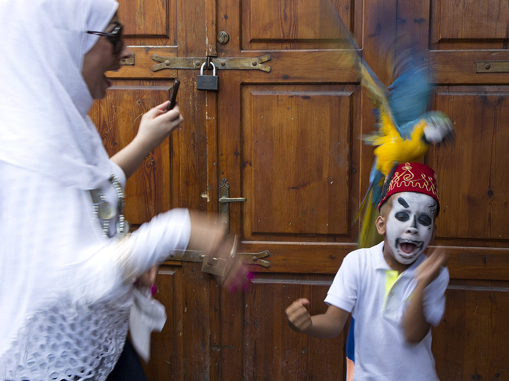 Арабско момче се стряска от папагал, кацнал на феса му, по време на празника Рамазан Байрам в пристанищния град Акко, Израел.