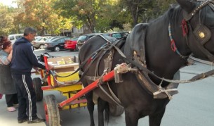 В Столипиново стягат куфарите за Англия